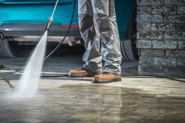Best Paint Preparation  in Fenton, MI