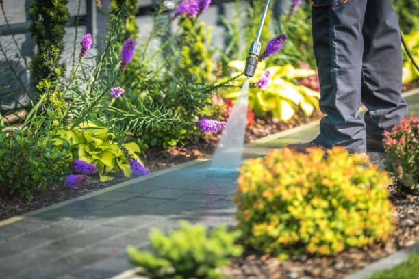 Best Gas Station Cleaning  in Fenton, MI