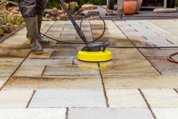 Best Gutter Cleaning  in Fenton, MI