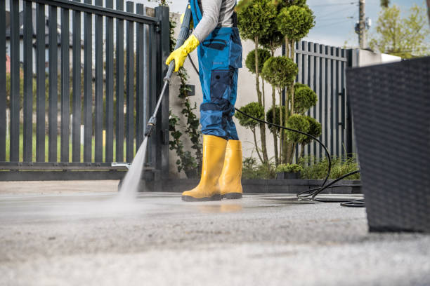 Best Graffiti Removal  in Fenton, MI